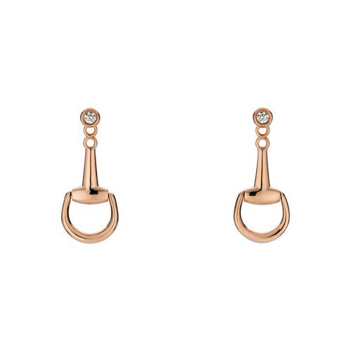 Σκουλαρίκια