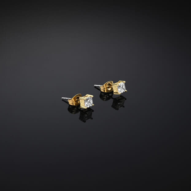 CHIARA FERRAGNI Classic Χρυσά Σκουλαρίκια Με Πέτρα